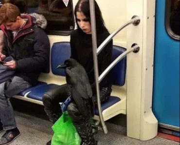Deze 41 vreemde mensen gespot in het openbaar vervoer zul je nooit geloven
