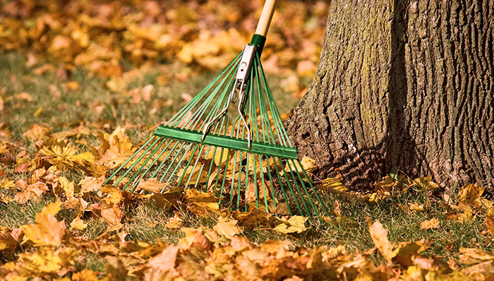 Niet vergeten: met deze zes handige tuintips maak je je tuin snel winterklaar!