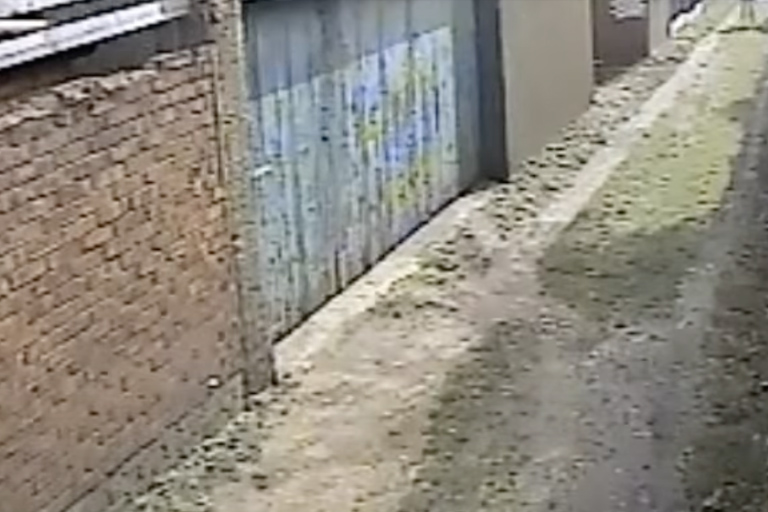 Man neemt schattige "puppy" mee naar huis, dit blijkt een gevaarlijke vergissing