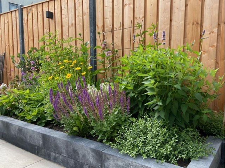 Je tuin inrichten? Dat hoeft niet moeilijk te zijn!