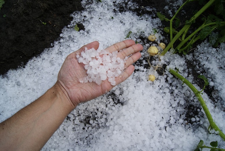 Vanavond code geel: van flinke windstoten tot 3 centimeter grote hagelstenen