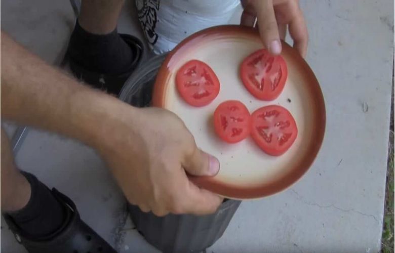 tomaten kweken