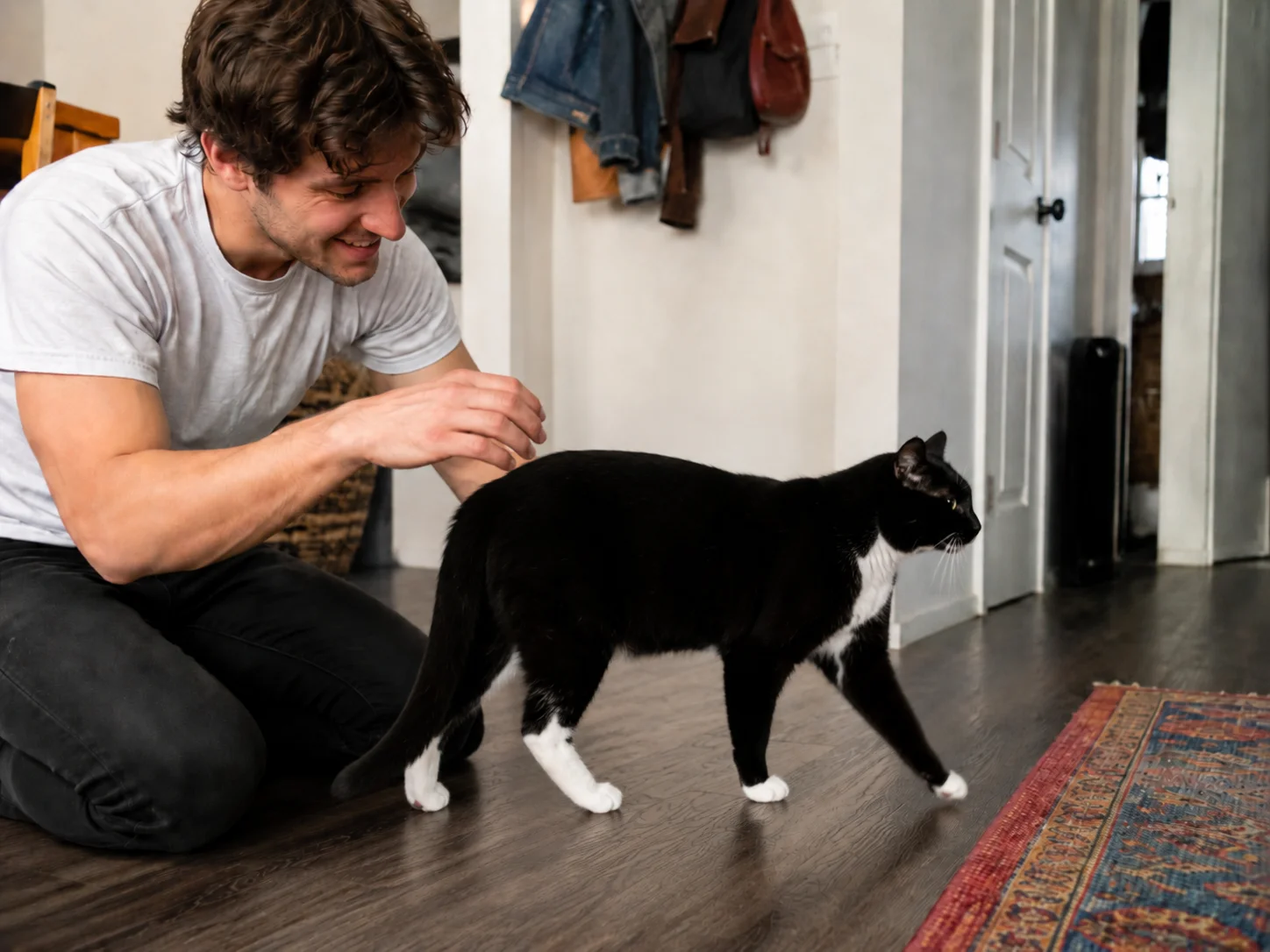 Dat je kat je met zijn kop stoot, is geen toeval — maar je begrijpt de betekenis ervan pas als je deze andere vreemde gedragingen van katten hebt leren kennen
