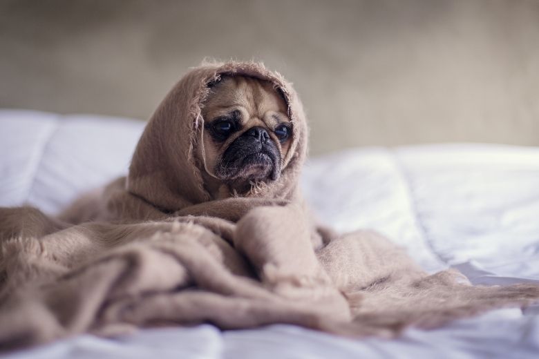 Blue Monday: zó kom jij de meest deprimerende dag van het jaar door