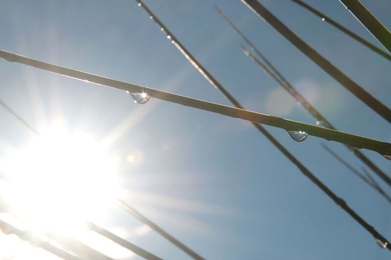 Door de zure appel heen bijten: ‘Vanaf zaterdag zomers weer verwacht’