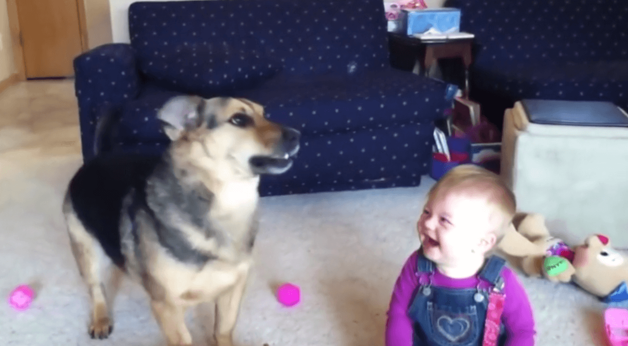 VIDEO: hond en kindje hebben dolle pret met bellenblaas, dit MOET je even zien!