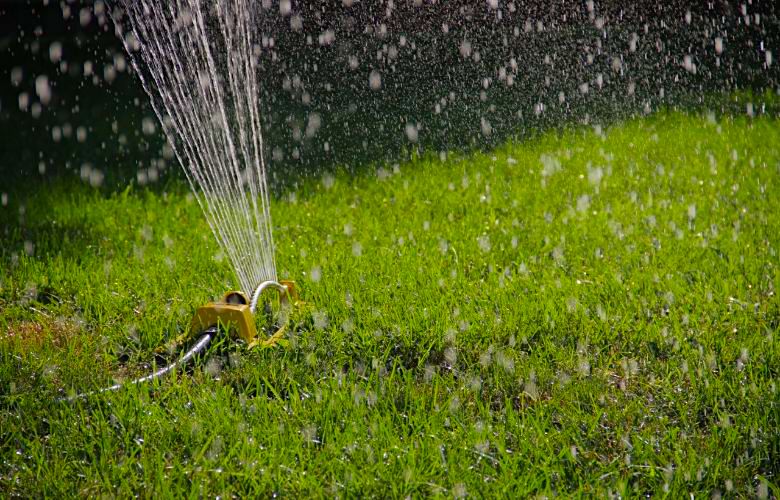 Dit is de gouden regel om een stralend groen gazon te houden