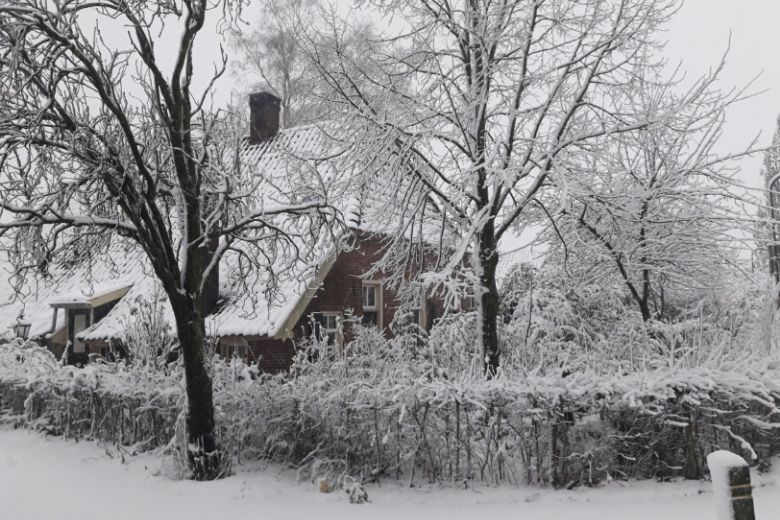 Brrr: vanaf woensdag winterse buien voorspeld