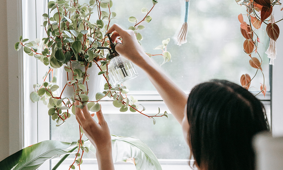 Zo helpen planten om mentaal gezond te blijven