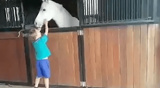VIDEO: jongetje (7) verkocht twee jaar limonade om een pony te kunnen kopen, moet je zijn koppie zien toen hij hem kreeg!