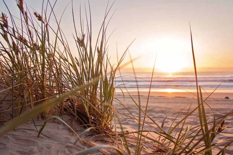 Opgelet! Tóch nog een beetje zomer dit weekend