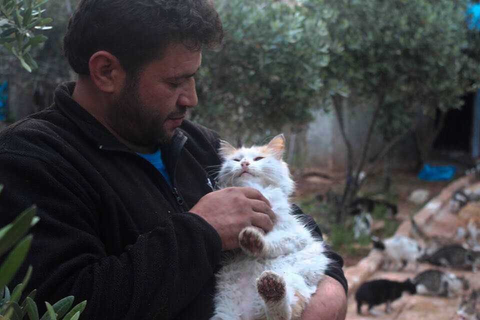 Wat er ook gebeurt, ik blijf bij ze”: deze dierenvriend waagt zijn leven Syrië voor zwerfkatten, wat een held!