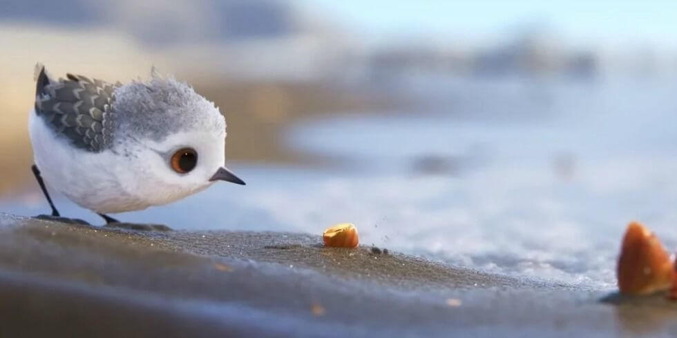 De nieuwste korte film 'Piper' van Pixar is echt hartverwarmend! Dit moet je zien!
