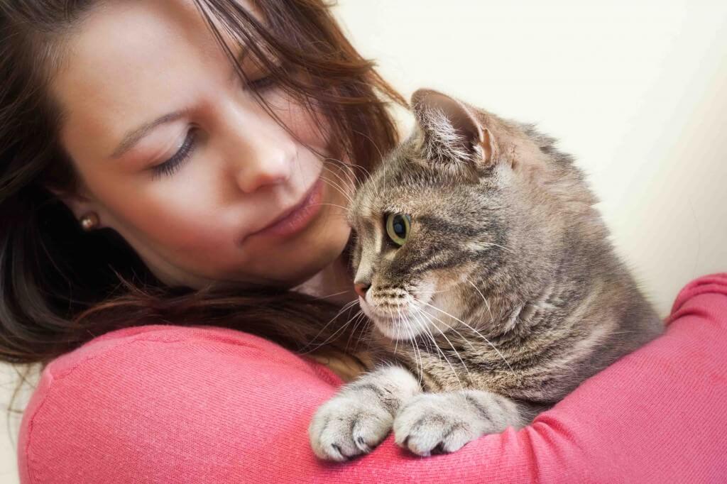 Een kat hebben is goed voor je gezondheid! Ontdek waarom!