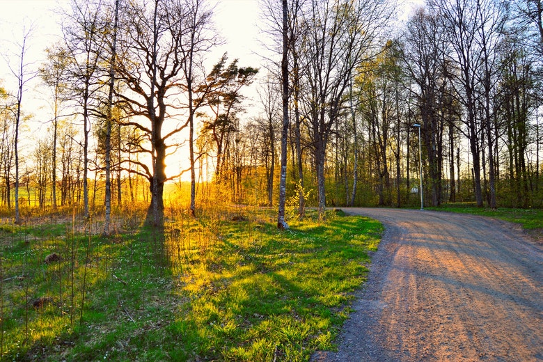 Zet de zonnebril maar op: komend weekend volop zon