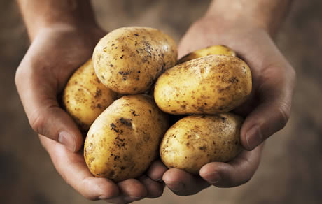 Vrouwen let op: aardappelen eten blijkt helemaal niet zo gezond te zijn!