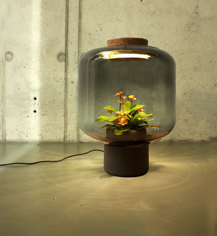 Lampen voor planten 4