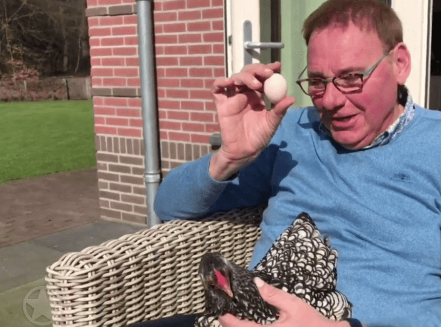 VIDEO: Toos de kip legt een ei op schoot van Jan de Hoop! Hier wordt je direct vrolijk van!