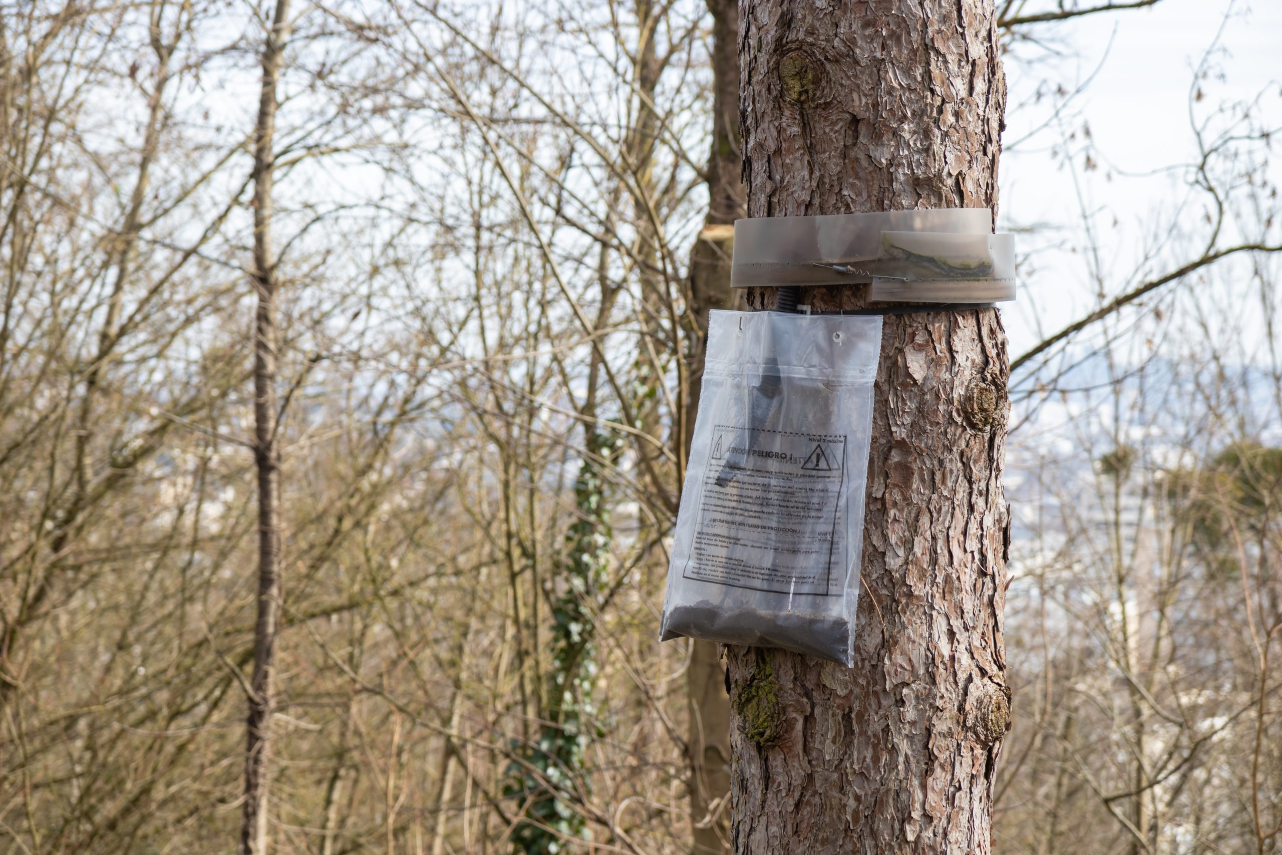 Een plastic zak hangend aan een boom? Vermijd deze plek, het duidt op echt gevaar