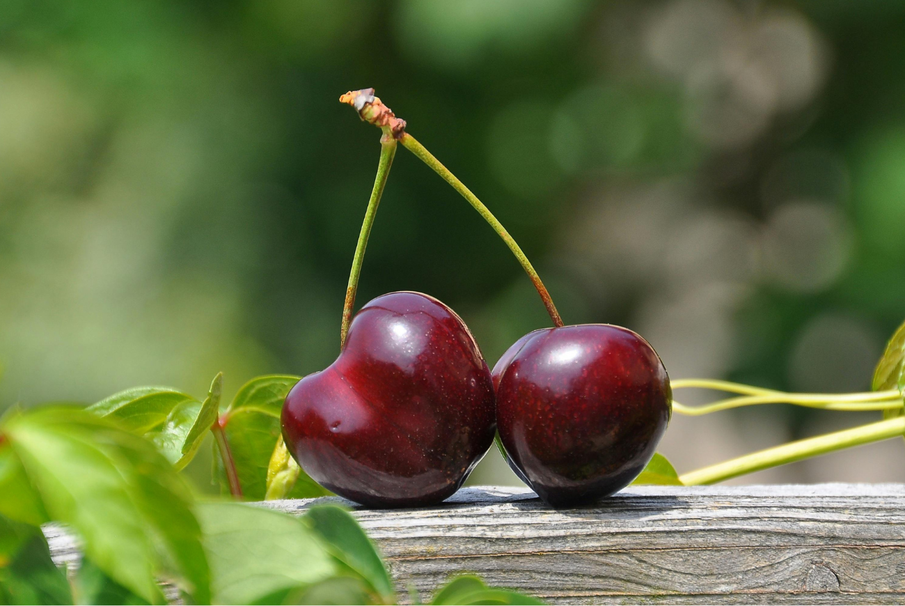 Diepvriesfruit of vers fruit: wat is gezonder?