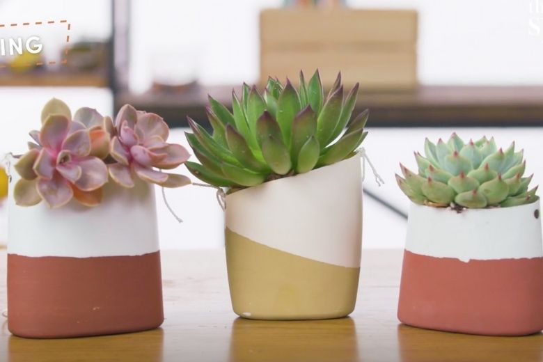 DIY: tover je plastic flessen om tot leuke bloempotten