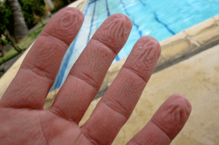 Waarom rimpelen je vingers eigenlijk in het water? Wij hebben het antwoord! Dit verwacht je niet!