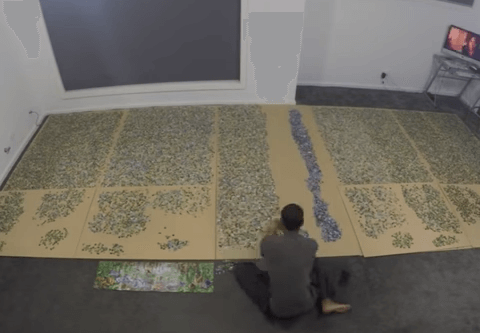 Ongelofelijk: man werkt 9 maanden aan legpuzzel en het eindresultaat is geweldig!