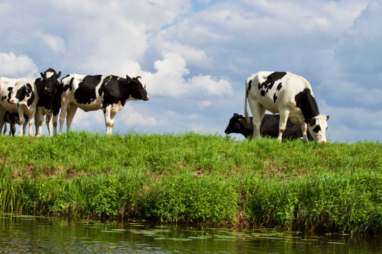 Haal de barbecue maar uit de schuur: het wordt dit weekend zomers!