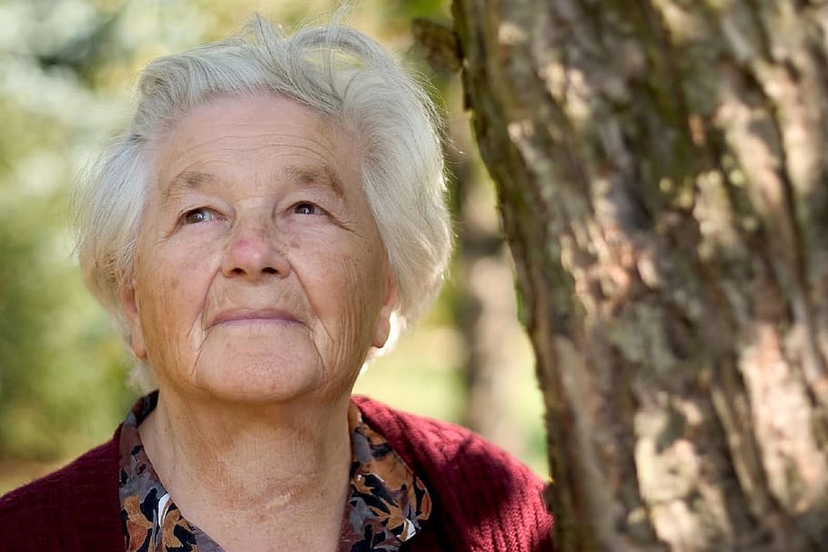 Bejaarde vrouw (89) wordt geweigerd uit business class, maar dan ontdekken ze wie ze werkelijk is