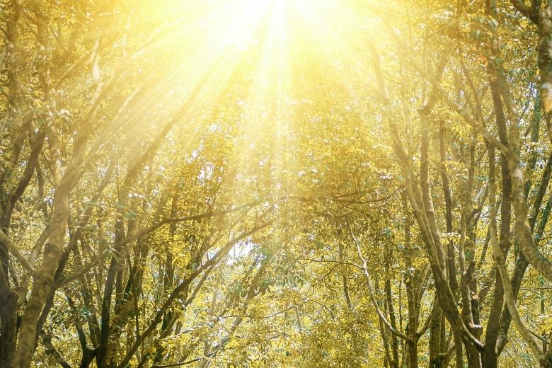 Warmterecord! Het is al sinds 1 april warmer dan 10 graden 