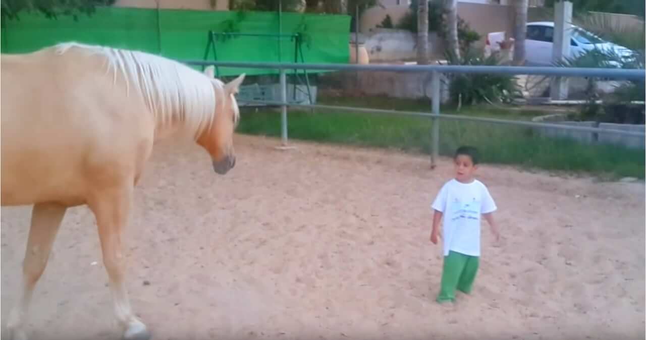 Hij is verstandelijk beperkt en loopt gevaarlijk dicht in de buurt van het paard, maar dan gebeurt er iets fantastisch!