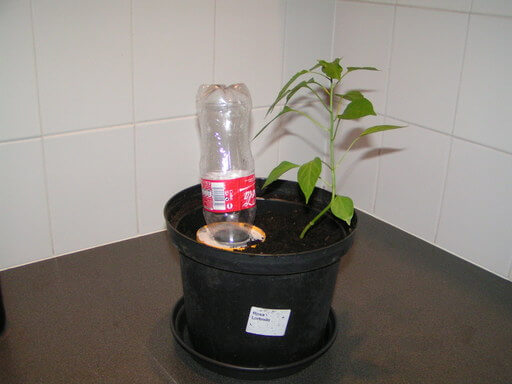 Zo krijgen je planten genoeg water als je op vakantie bent! Heel handig dit!