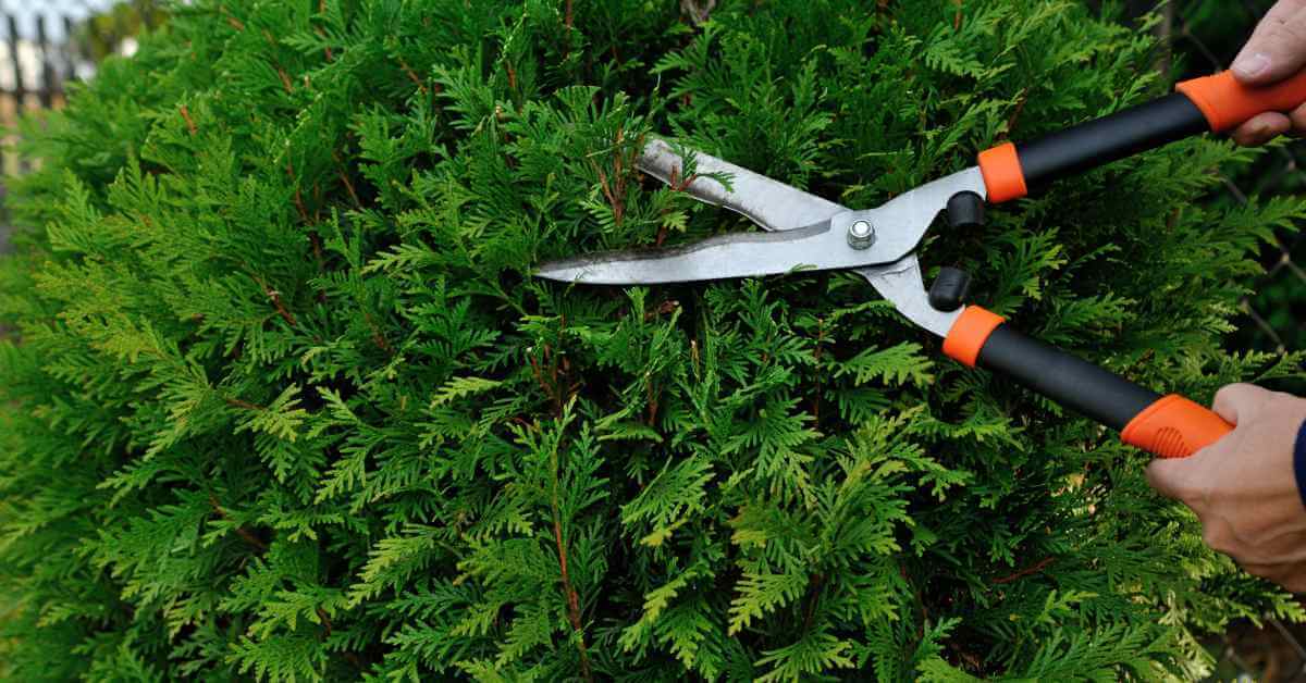 Dieser super Sommer ist bald wieder vorbei. Wie bekommst du deinen Garten herbsttauglich? Befolge diese Tipps.