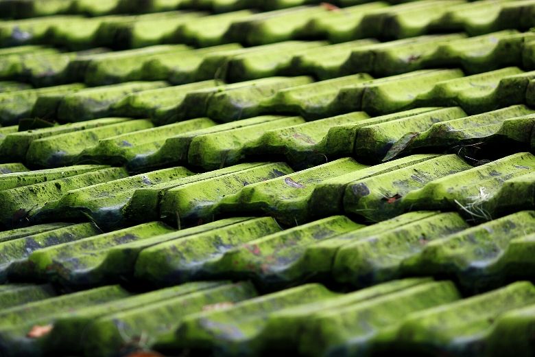 Met dit natuurlijke middel is de groene aanslag op je tegels zo verdwenen!