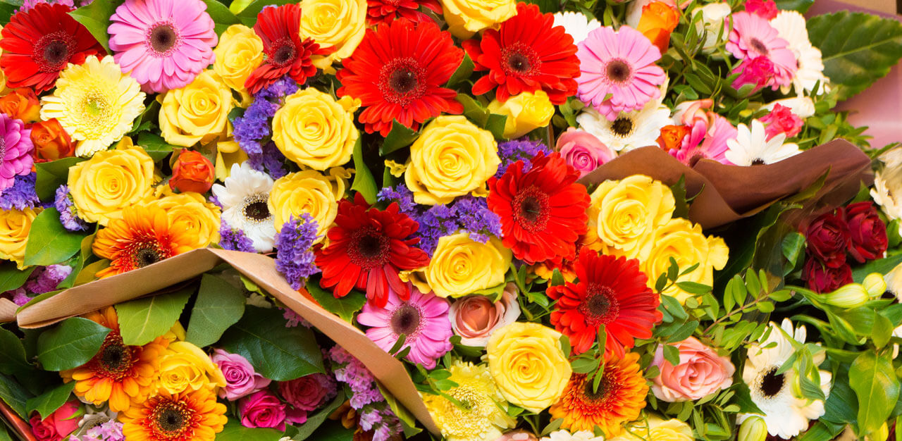 Heb je een fiets en hou je van bloemen en planten? Dan is dit echt iets voor jou!