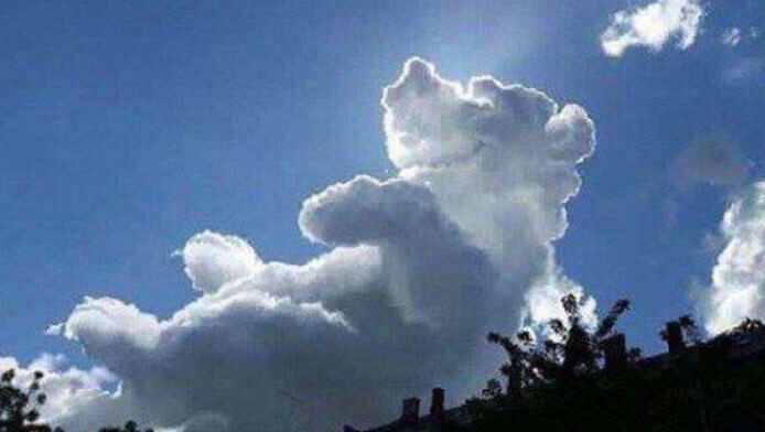 wolk