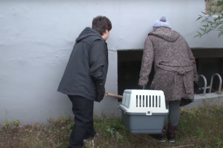 Deze dakloze kat neemt alleen eten uit een zakje aan en de reden is ontroerend 