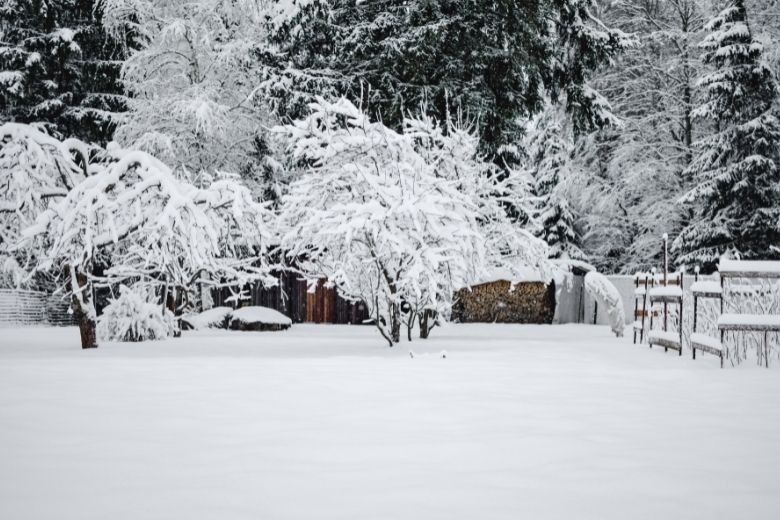 Het blijft spannend: krijgen we een witte kerst of niet?