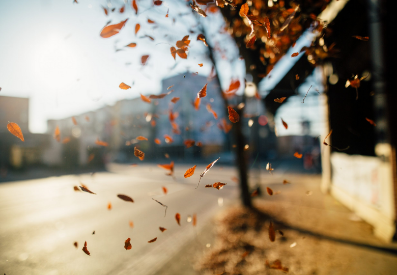 Laat die trui maar in de kast: dit is de weersvoorspelling voor de herfstvakantie