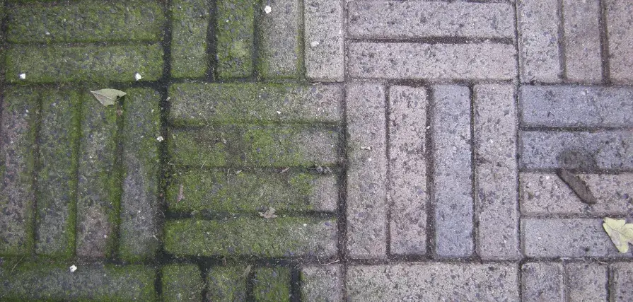 雑草取り？このトリックを使えばあっという間です！超実用的！