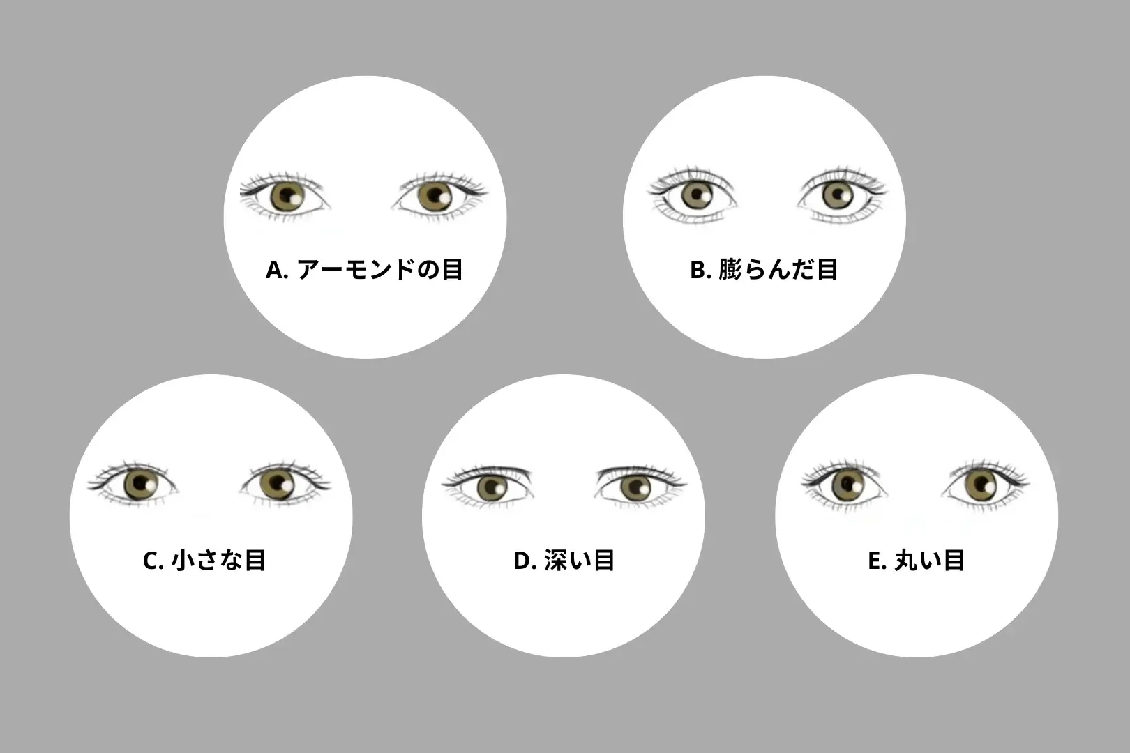 あなたの目は、あなたの性格について多くを語ることができる。あなたの目はどんな形をしていますか？