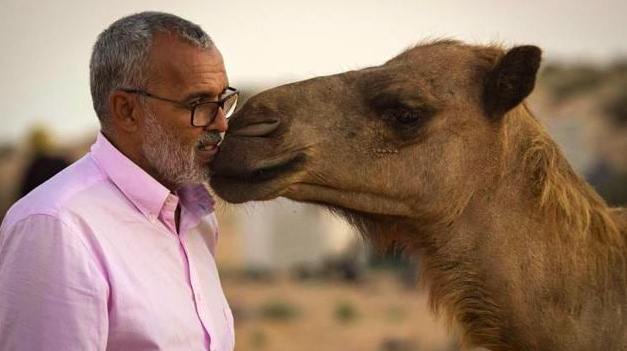 8 Stunning Stories Of Animals Who Took Revenge On Humans