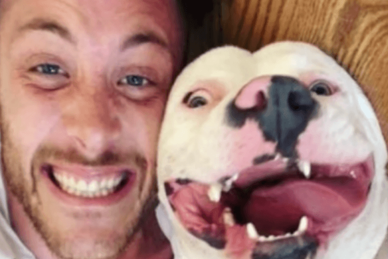 ある犬の幸せそうな写真が警察にとって必要な決定的証拠となった話
