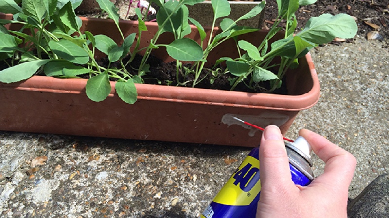 ¿Ya conoces este aerosol azul? Se llama WD-40. ¡Es nada menos que un milagro envasado en una lata!