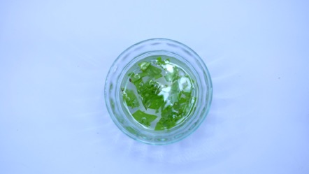 7 tips de belleza con Aloe Vera