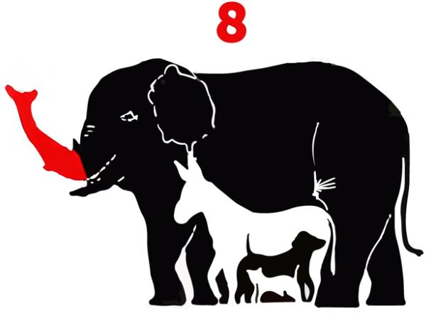 ¿Cuántos animales logras descubrir?