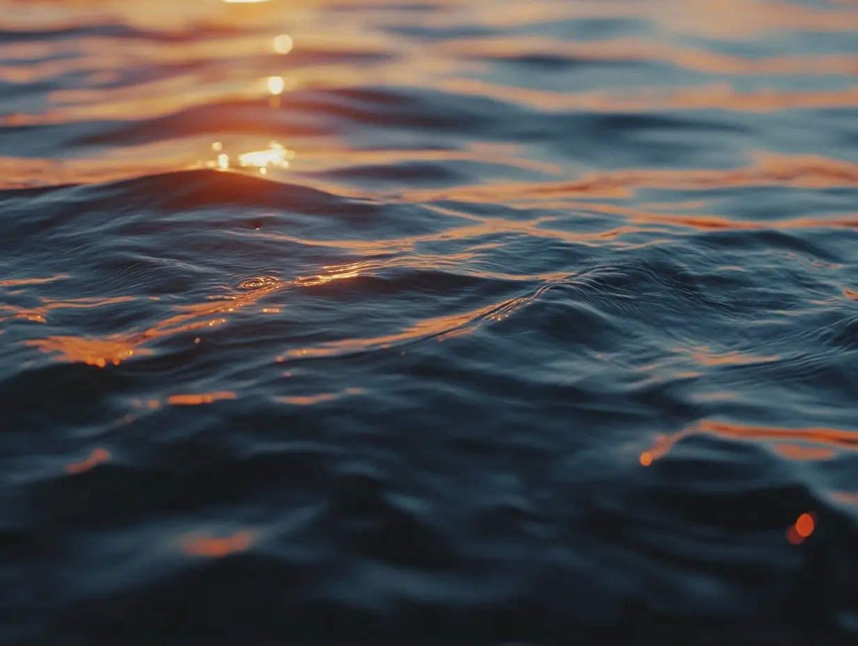 Unos pescadores naufragan a causa de una misteriosa criatura marina: lo que aparece en la superficie les deja sin palabras