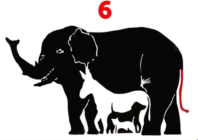 ¿Cuántos animales logras descubrir?