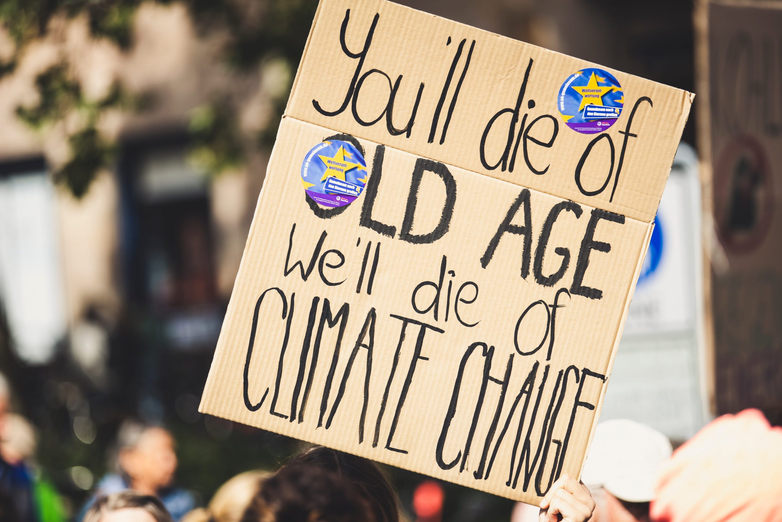 This is everything you need to know about Greta Thunberg