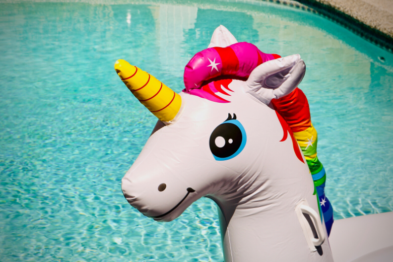 Sueño hecho realidad: a una niña de 7 años se le otorga una «licencia de unicornio»